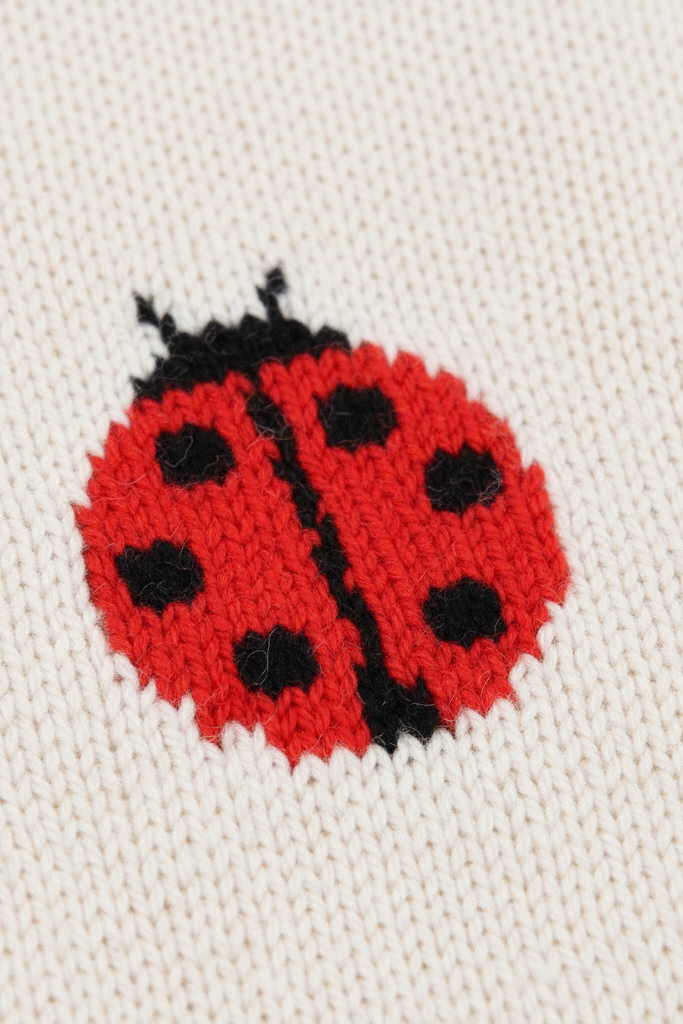 H&M Strickpullover Marienkäfer