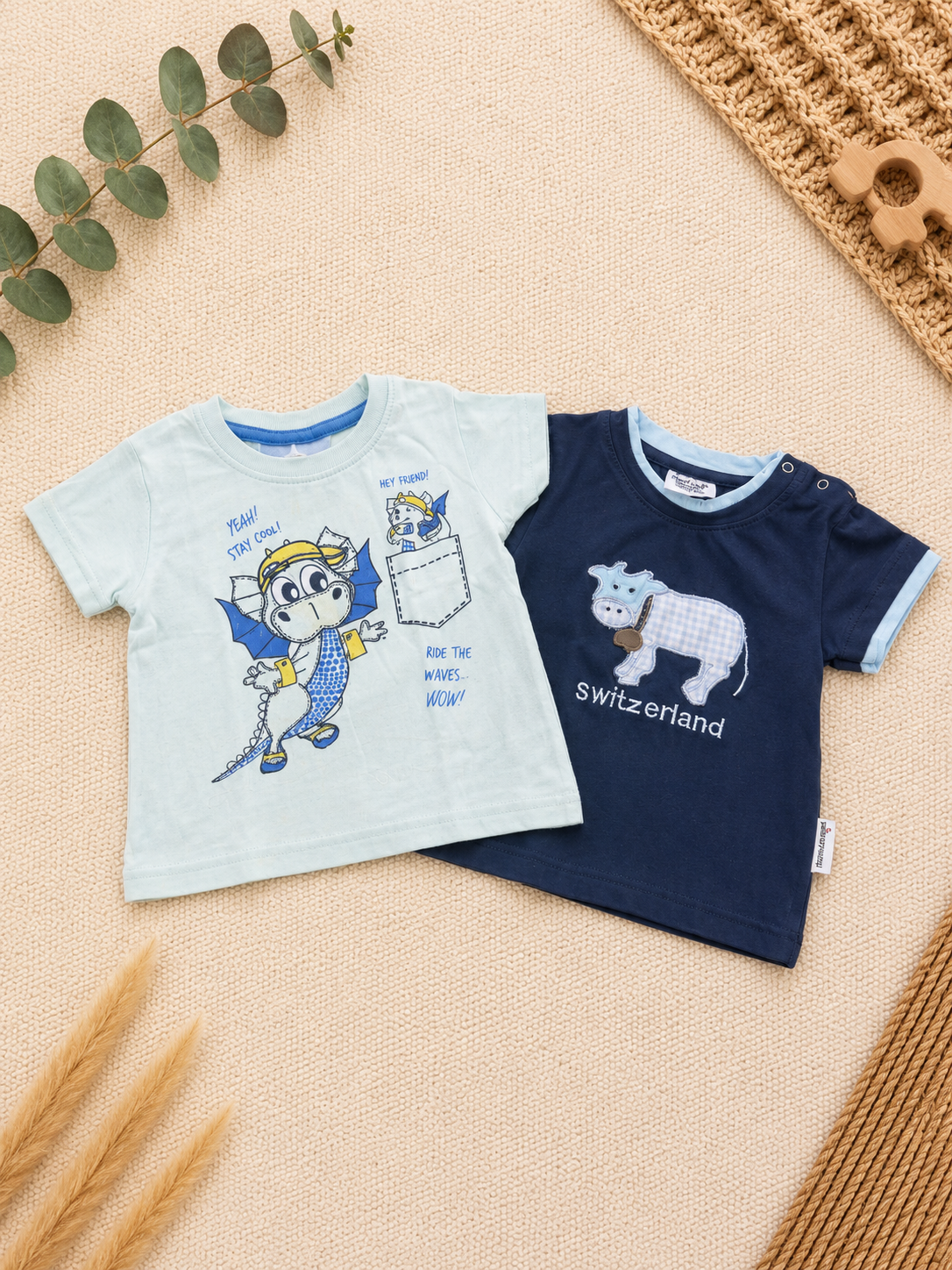 Switzerland & Dino Friends Shirt Bundle