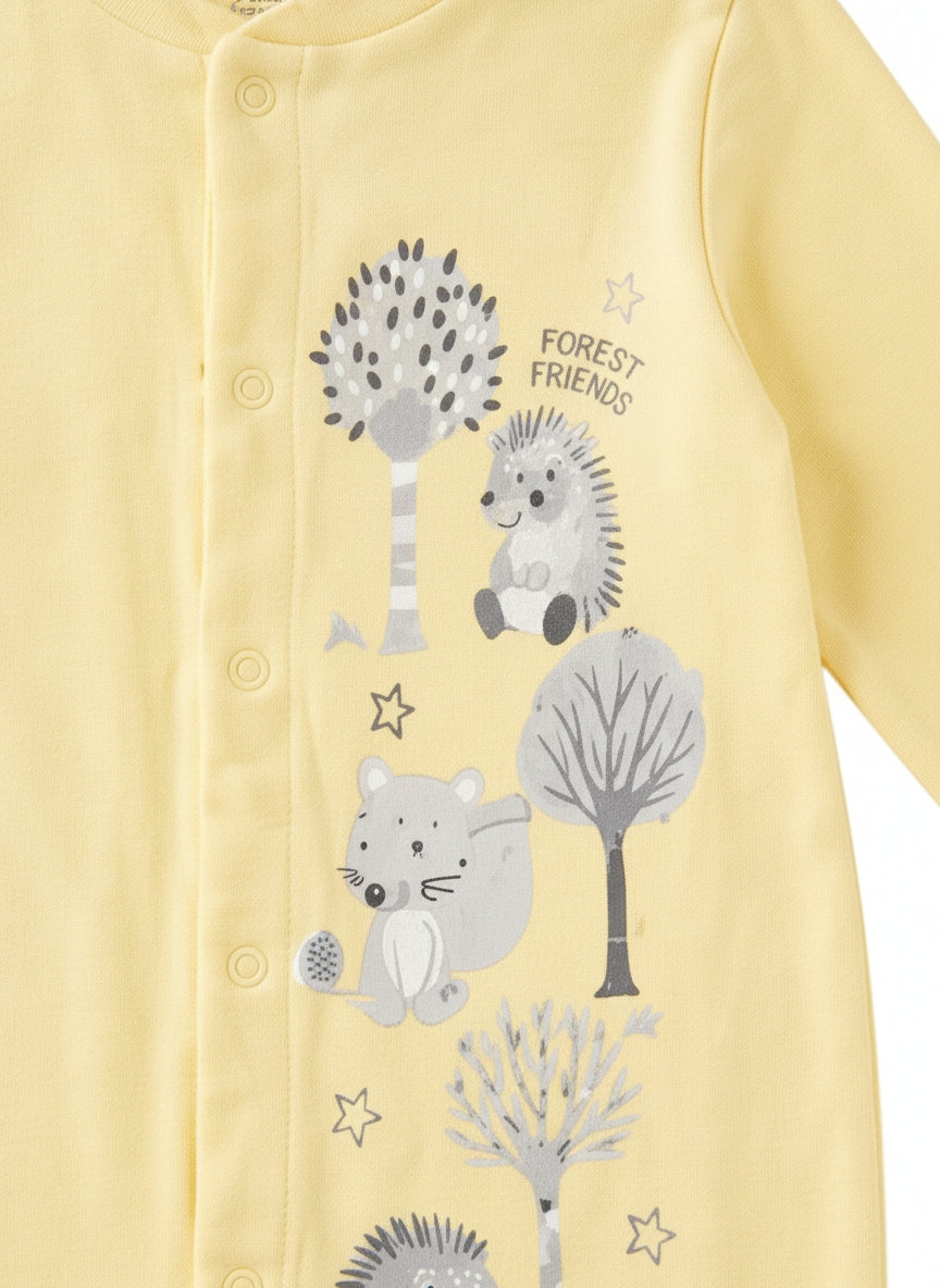 2er-Pack Strampler Forest Friends naturaline & co