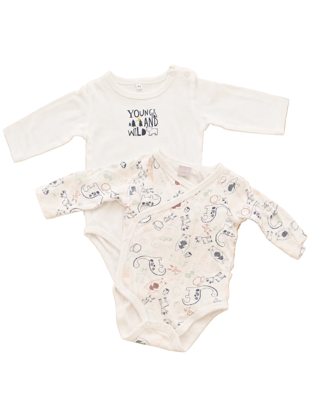 Babybody Young and Wild