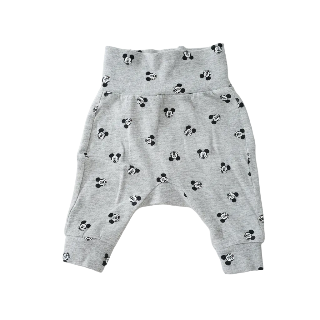 Baby Mickey Mouse Hose